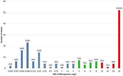 Application of Molecular Methods for Carbapenemase Detection